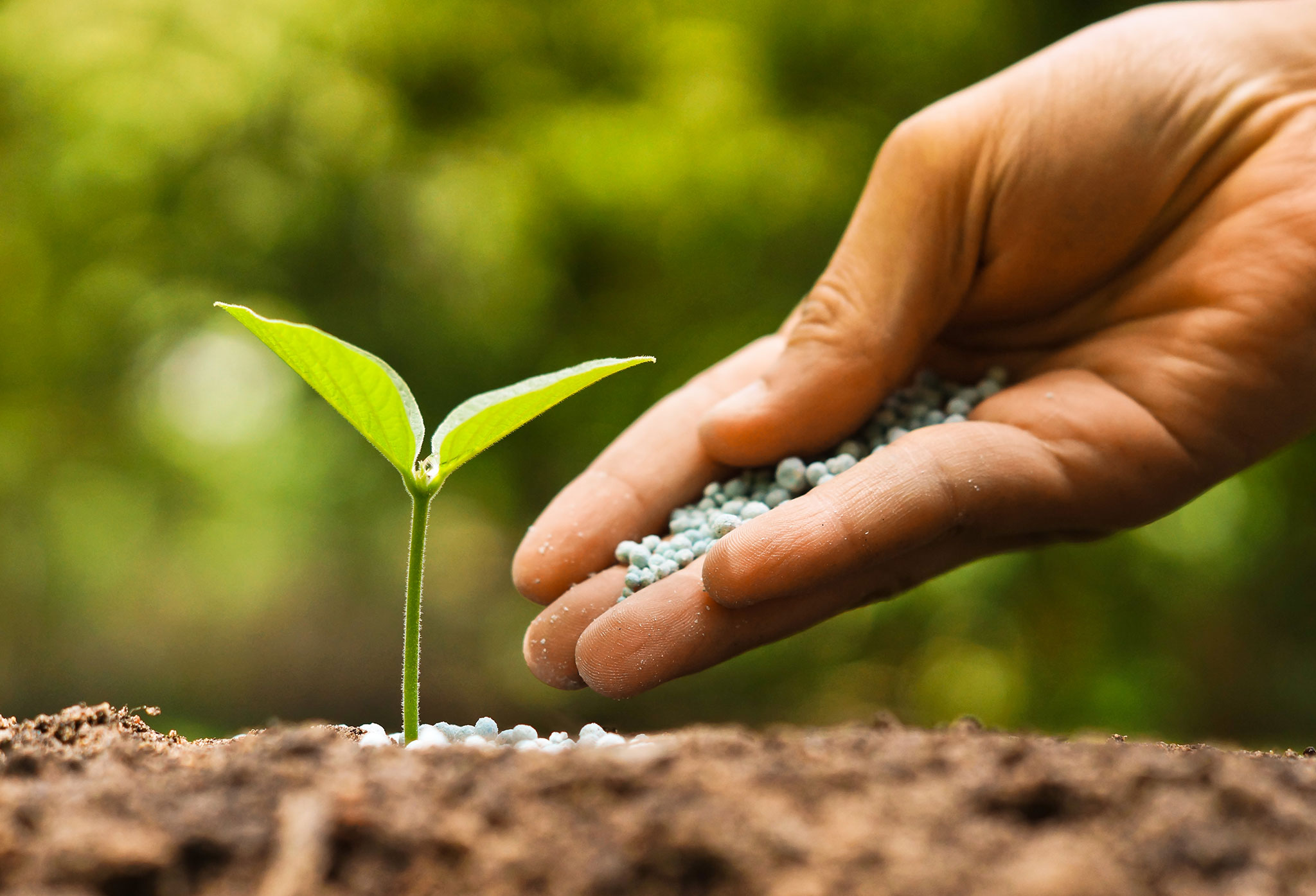 agriculture-and-food-science-biotechnology-kioskbiotechnology-kiosk