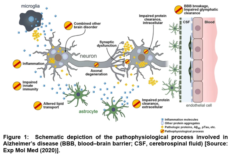 Non-Invasive Diagnostic Biomarkers for Alzheimer’s Disease ...