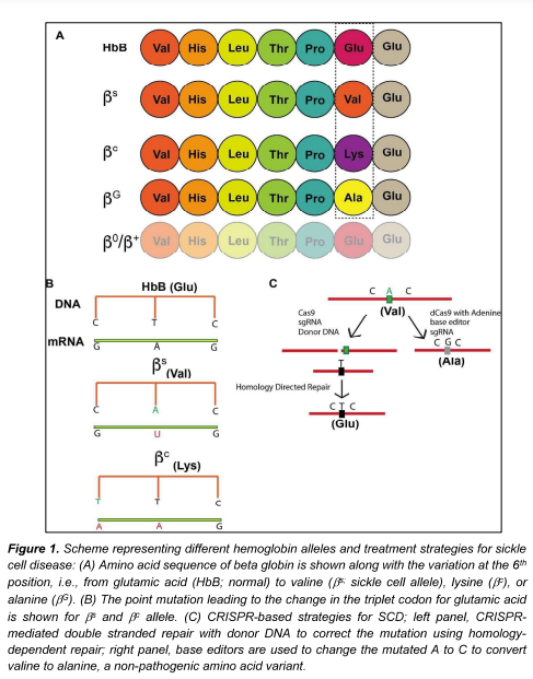 Emerging Gene Editing Therapies For Blood Disorders - Biotechnology Kiosk